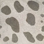 Animal Print Tiles